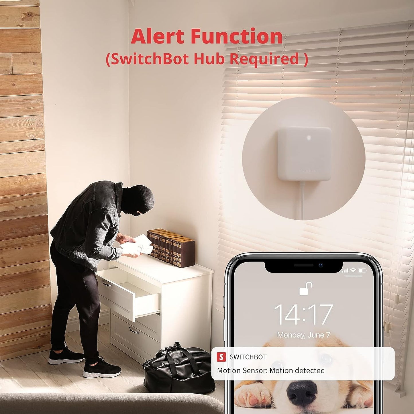 SwitchBot Smart Motion Door Sensor - Wireless Home Security System, PIR Motion Detector Alert, Add SwitchBot Hub to Make it Compatible with Alexa