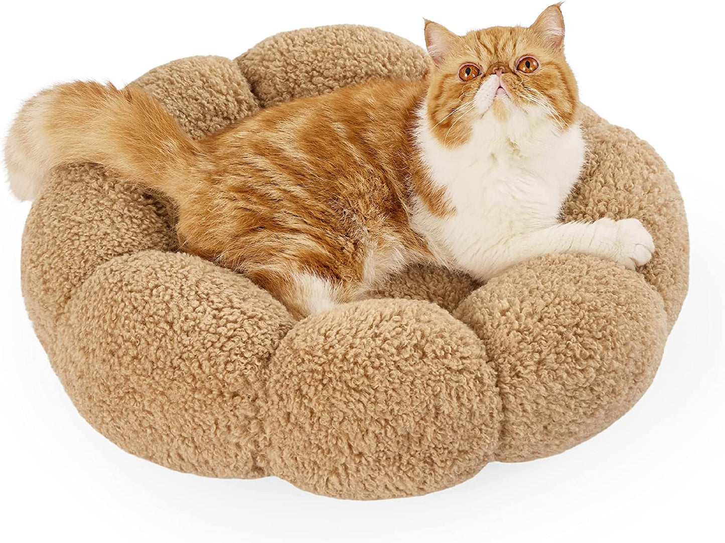Lesure Calming Small Dog Bed - Donut Round Fluffy Puppy Bed in Teddy Sherpa Plush, Anti-Slip Cute Flower Cat Beds for Indoor Cats, Anti-Anxiety Pet Bed Fits up to 25 lbs, Machine Washable, Pink 23"